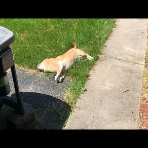 Meet your Posher, Ryan